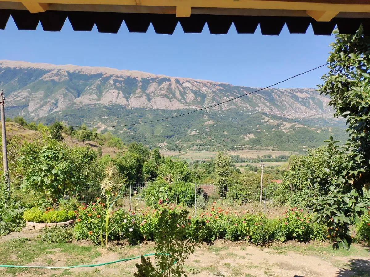 Holiday home Stone House Villa Kelcyre Albania